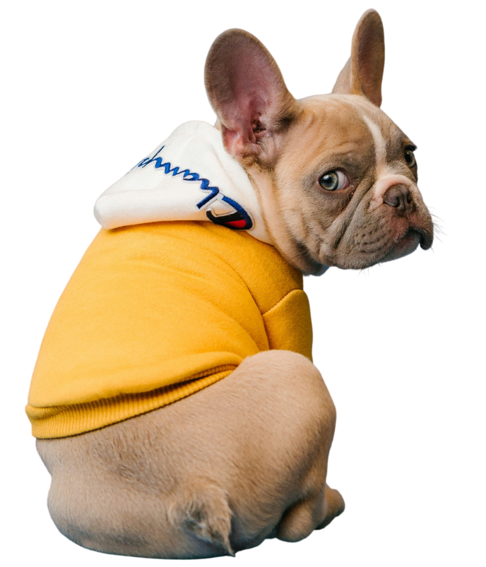 Inyectología en casa